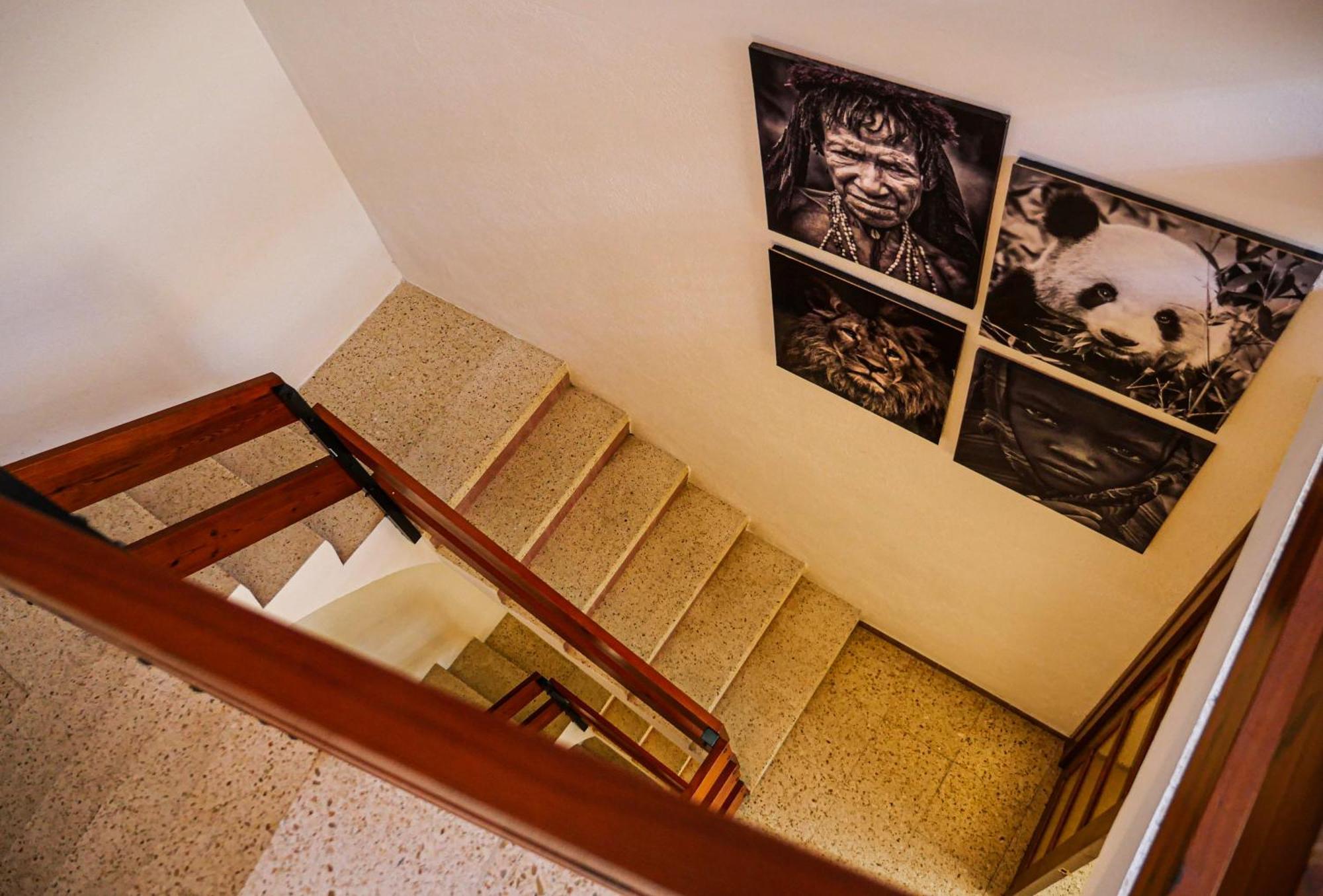L'Amagatall De Talarn, Casa Per A Compartir Dış mekan fotoğraf